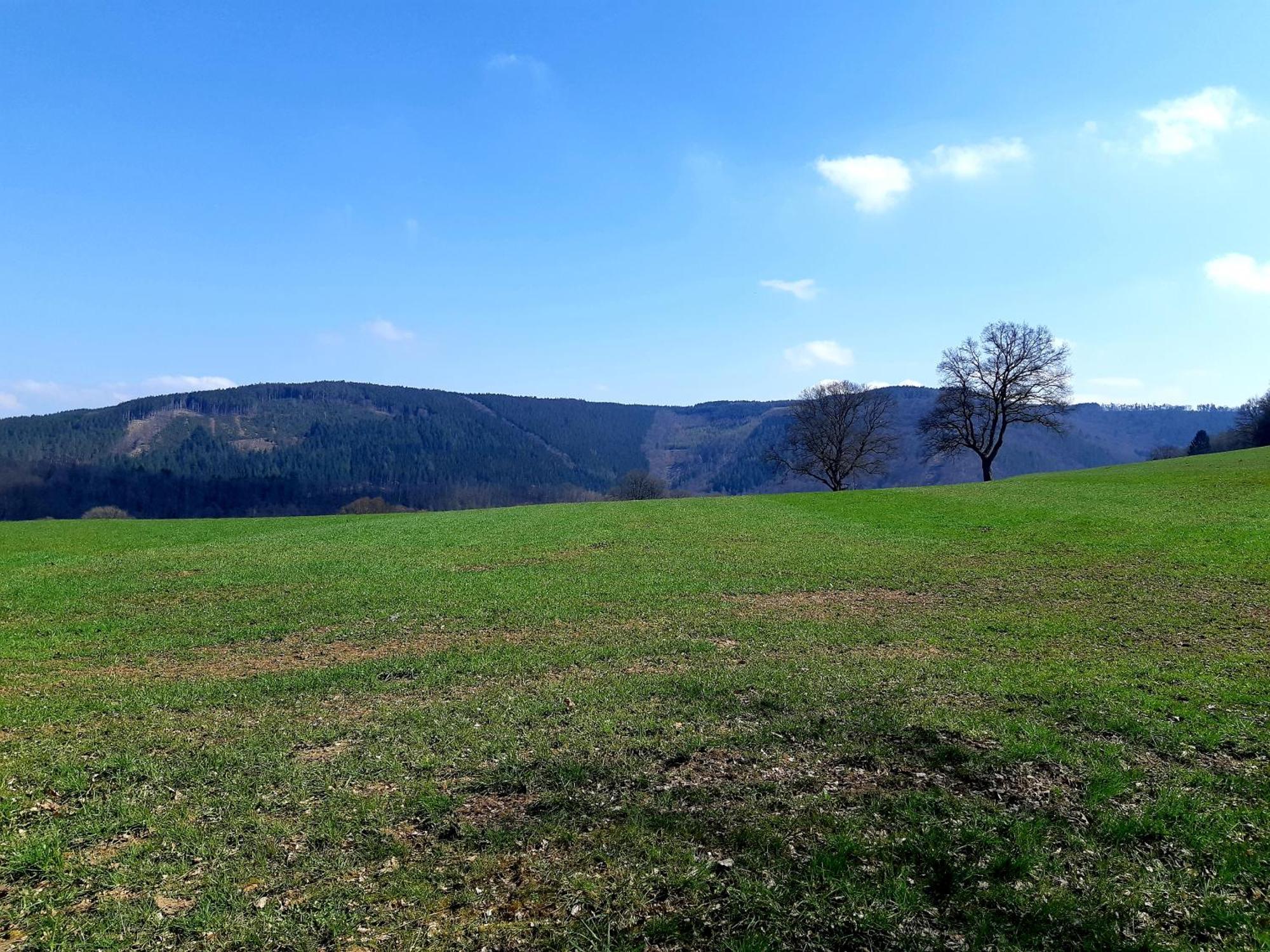 La Maison Des Senteurs Francorchamps Zewnętrze zdjęcie